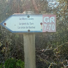 2135284
